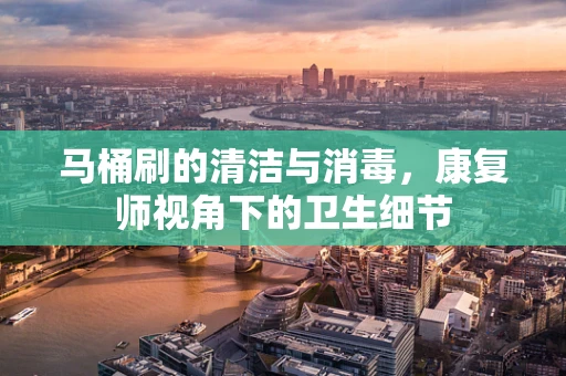 马桶刷的清洁与消毒，康复师视角下的卫生细节