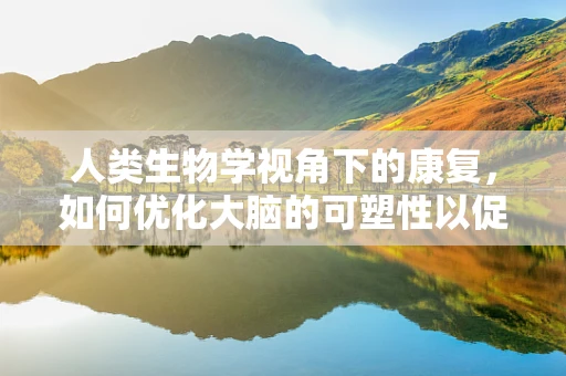 人类生物学视角下的康复，如何优化大脑的可塑性以促进功能恢复？