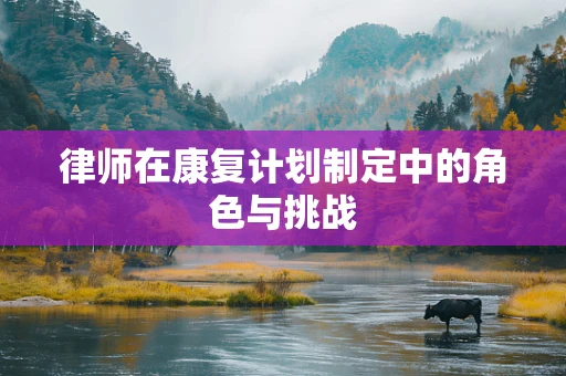 律师在康复计划制定中的角色与挑战