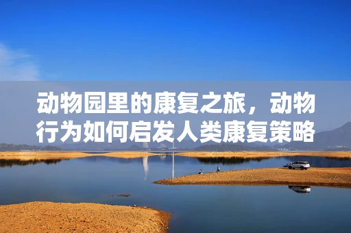 动物园里的康复之旅，动物行为如何启发人类康复策略？