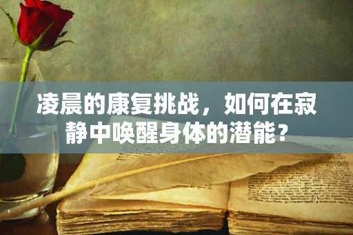 凌晨的康复挑战，如何在寂静中唤醒身体的潜能？