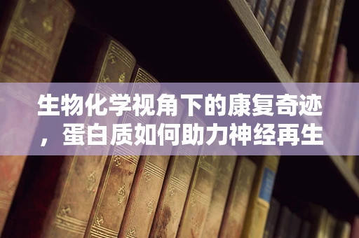 生物化学视角下的康复奇迹，蛋白质如何助力神经再生？