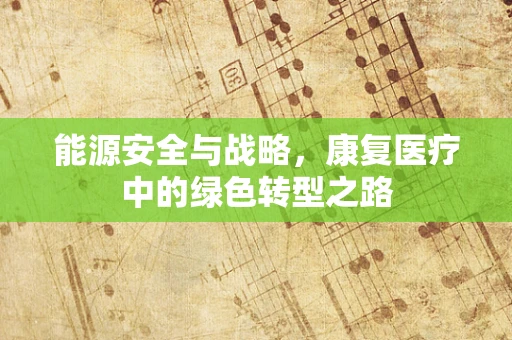 能源安全与战略，康复医疗中的绿色转型之路