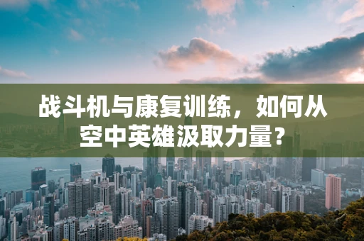 战斗机与康复训练，如何从空中英雄汲取力量？