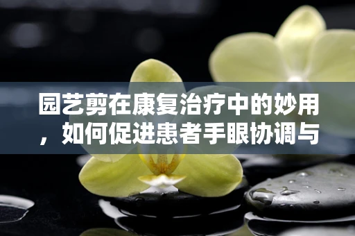 园艺剪在康复治疗中的妙用，如何促进患者手眼协调与精细动作能力？
