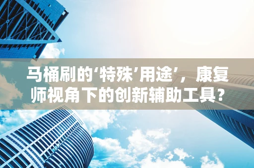 马桶刷的‘特殊’用途’，康复师视角下的创新辅助工具？