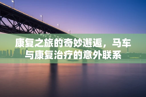 康复之旅的奇妙邂逅，马车与康复治疗的意外联系
