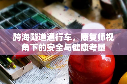 跨海隧道通行车，康复师视角下的安全与健康考量