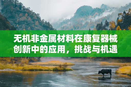 无机非金属材料在康复器械创新中的应用，挑战与机遇并存的未来？