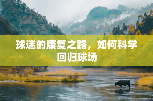 球迷的康复之路，如何科学回归球场