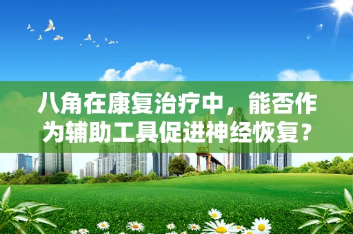 八角在康复治疗中，能否作为辅助工具促进神经恢复？