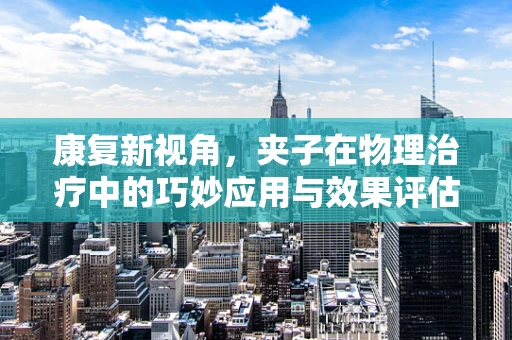 康复新视角，夹子在物理治疗中的巧妙应用与效果评估