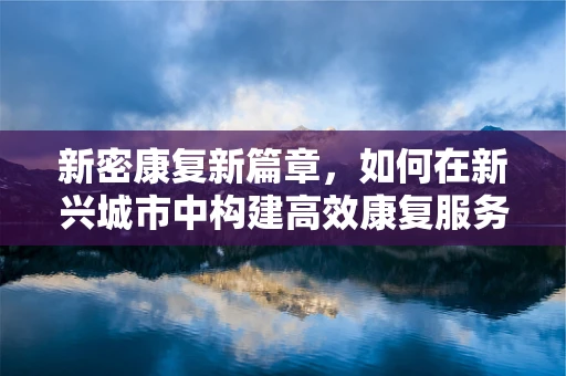 新密康复新篇章，如何在新兴城市中构建高效康复服务体系？