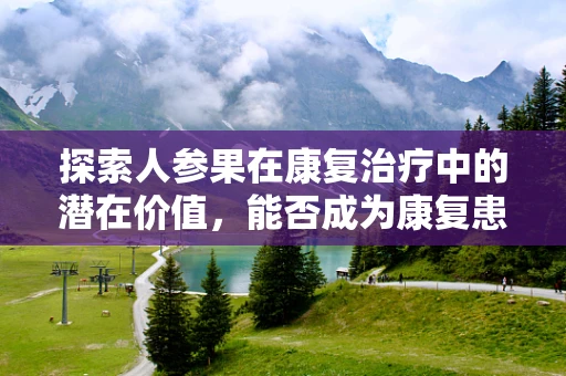 探索人参果在康复治疗中的潜在价值，能否成为康复患者的天然良药？