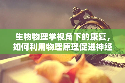 生物物理学视角下的康复，如何利用物理原理促进神经功能恢复？