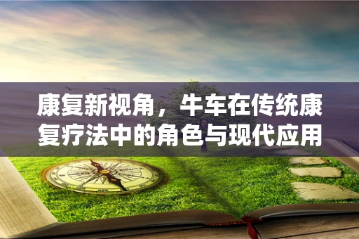 康复新视角，牛车在传统康复疗法中的角色与现代应用