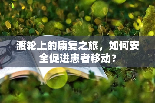 渡轮上的康复之旅，如何安全促进患者移动？