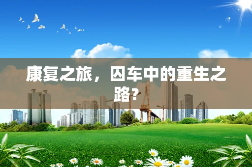 康复之旅，囚车中的重生之路？