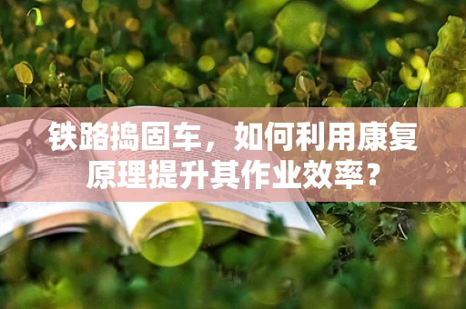 铁路捣固车，如何利用康复原理提升其作业效率？