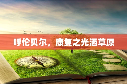 呼伦贝尔，康复之光洒草原