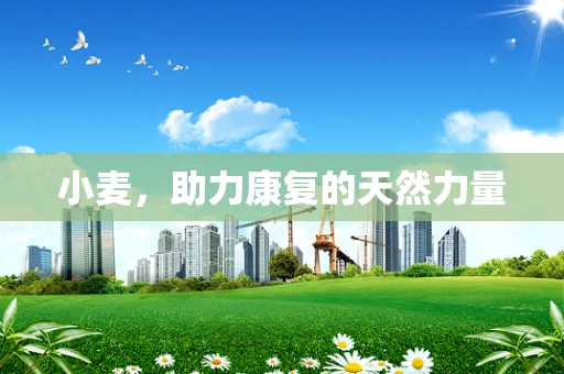 小麦，助力康复的天然力量