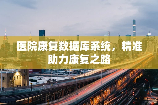 医院康复数据库系统，精准助力康复之路