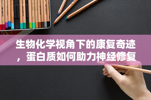 生物化学视角下的康复奇迹，蛋白质如何助力神经修复？