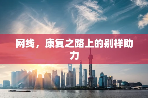 网线，康复之路上的别样助力