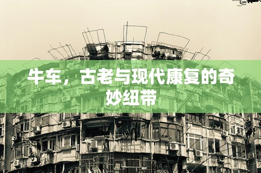 牛车，古老与现代康复的奇妙纽带