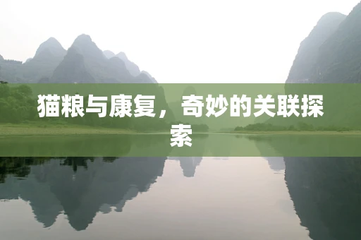 猫粮与康复，奇妙的关联探索