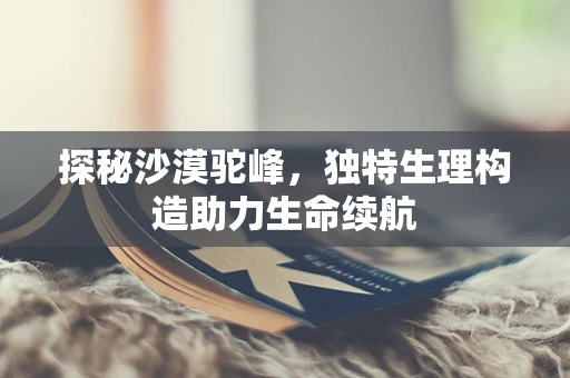 探秘沙漠驼峰，独特生理构造助力生命续航