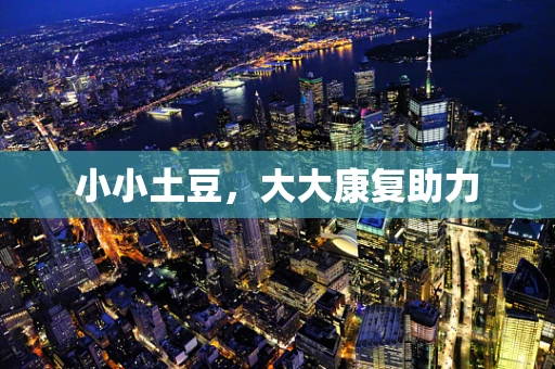 小小土豆，大大康复助力
