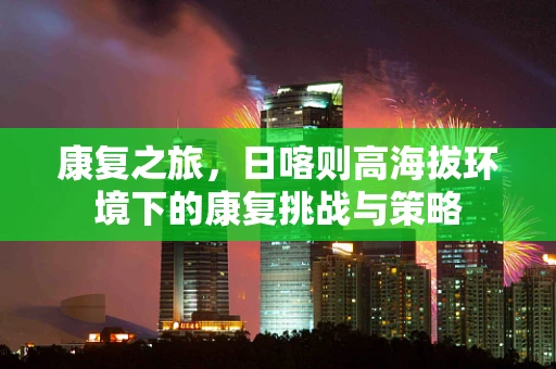 康复之旅，日喀则高海拔环境下的康复挑战与策略