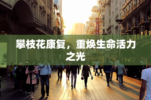 攀枝花康复，重焕生命活力之光