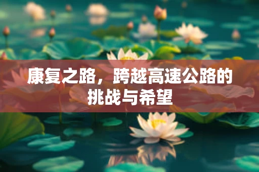 康复之路，跨越高速公路的挑战与希望