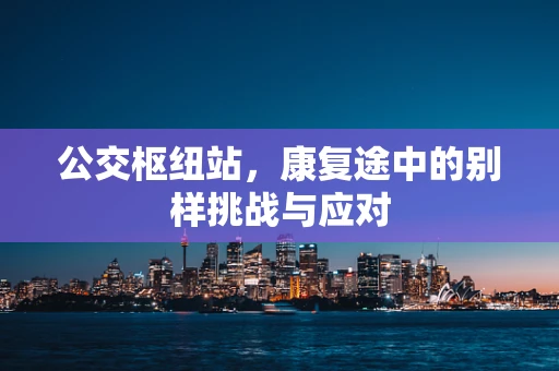 公交枢纽站，康复途中的别样挑战与应对