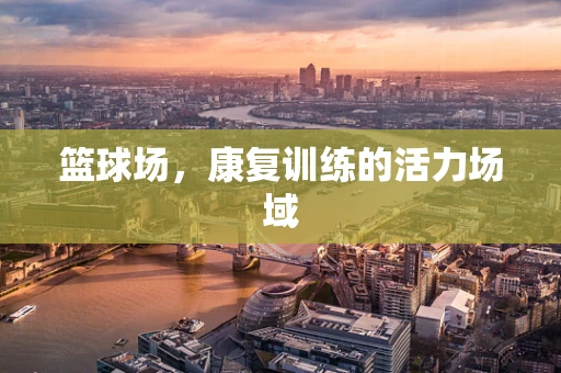 篮球场，康复训练的活力场域