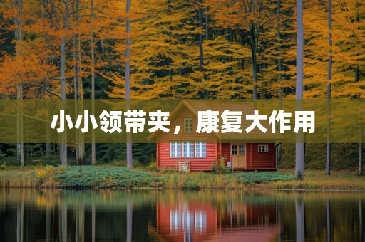 小小领带夹，康复大作用