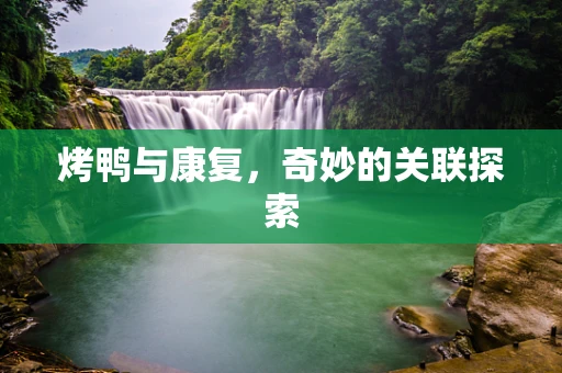 烤鸭与康复，奇妙的关联探索