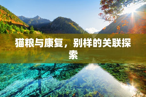 猫粮与康复，别样的关联探索