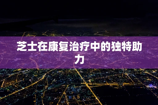 芝士在康复治疗中的独特助力