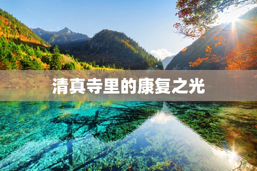 清真寺里的康复之光