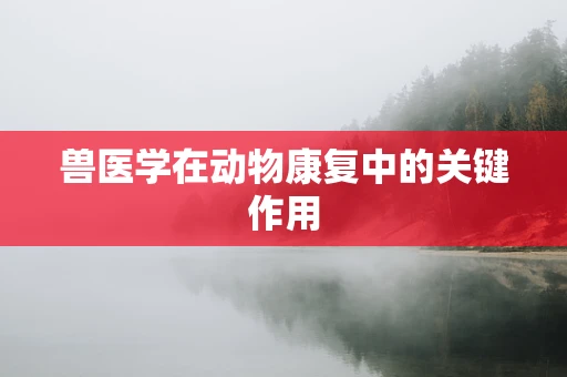 兽医学在动物康复中的关键作用