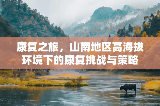 康复之旅，山南地区高海拔环境下的康复挑战与策略
