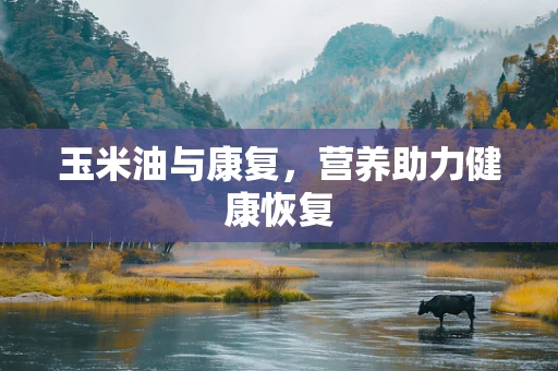 玉米油与康复，营养助力健康恢复