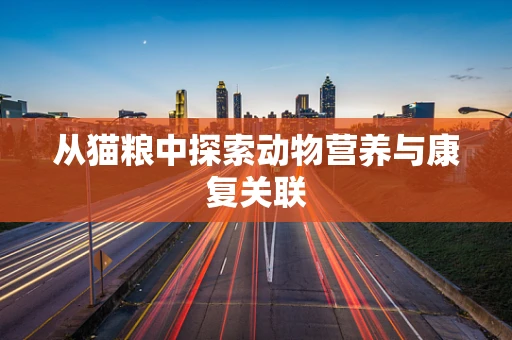 从猫粮中探索动物营养与康复关联