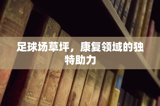 足球场草坪，康复领域的独特助力