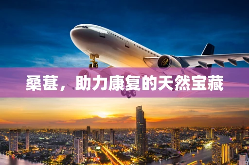 桑葚，助力康复的天然宝藏