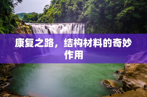 康复之路，结构材料的奇妙作用