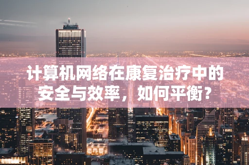 计算机网络在康复治疗中的安全与效率，如何平衡？